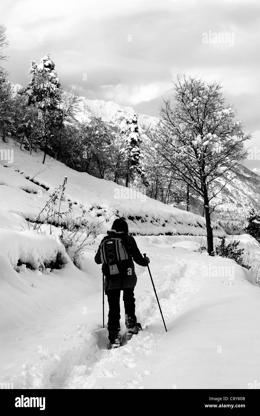 Promenades en forêt neige randonneurs Banque D'Images