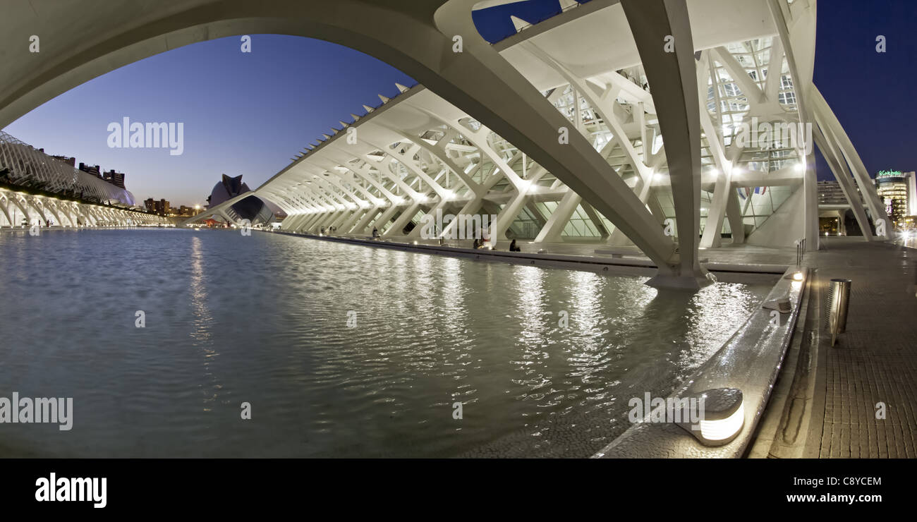 Musée des sciences Príncipe Felipe, le Palau de les Arts Reina Sofia, Valencia, Espagne Banque D'Images