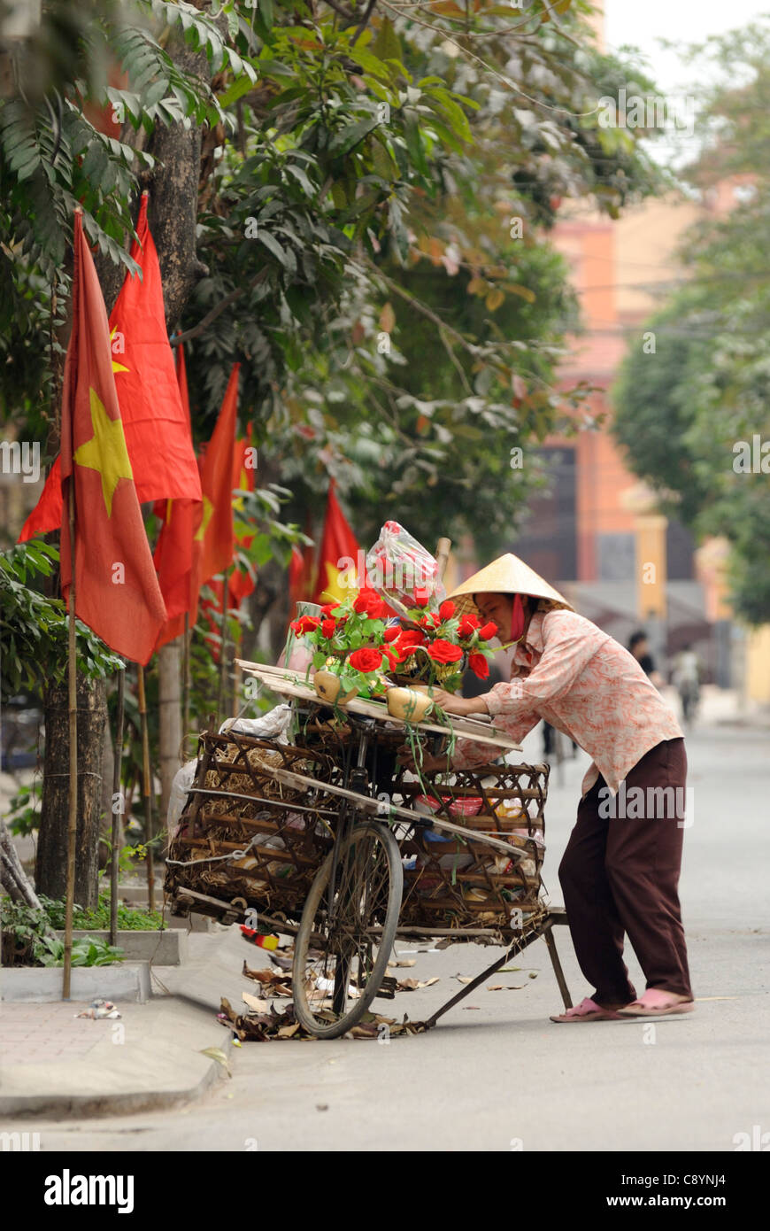 L'Asie, Vietnam, Ninh Binh. Vendeur de rue, vente de fleurs... Banque D'Images