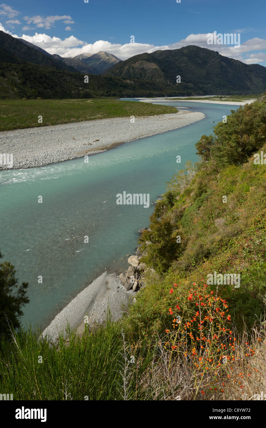 Lewis Pass, Maruia, côte ouest, Nouvelle-Zélande Banque D'Images