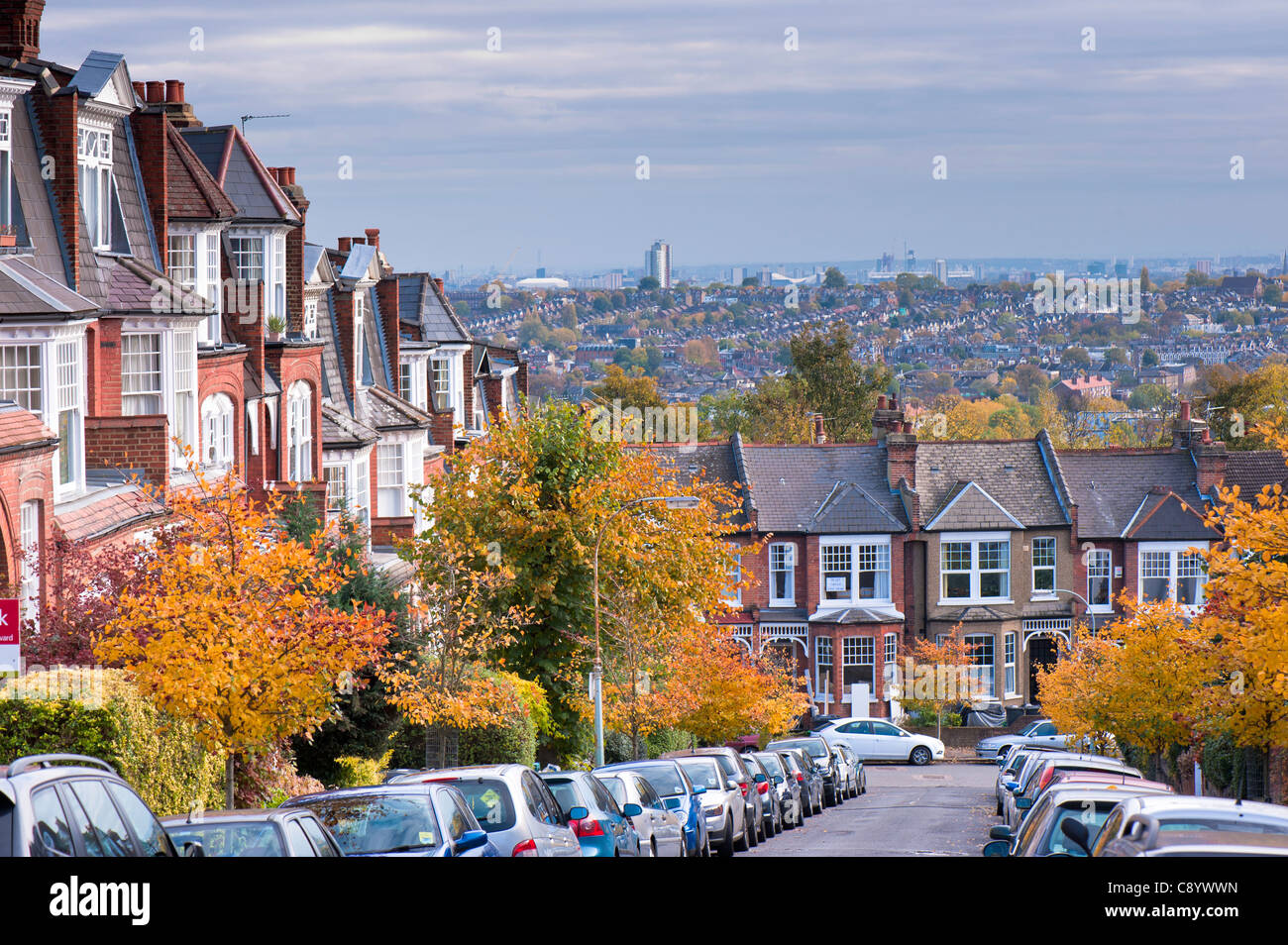 Rue résidentielle, Muswell Hill, London, Royaume-Uni Banque D'Images