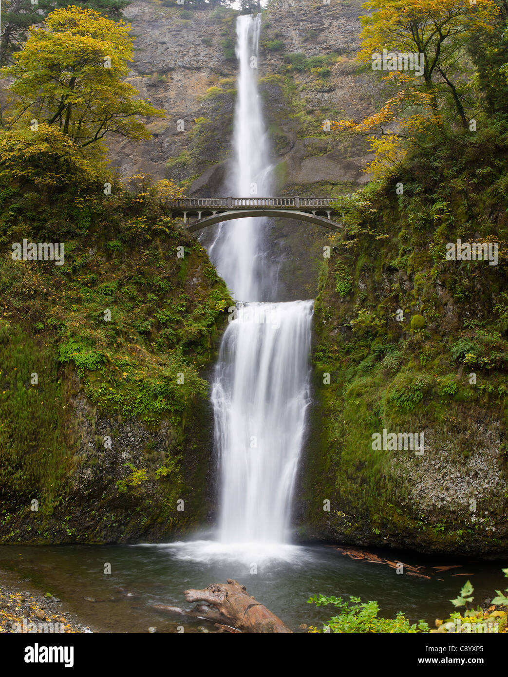 Chutes de Multnomah à Columbia River Gorge Oregon à l'automne Banque D'Images