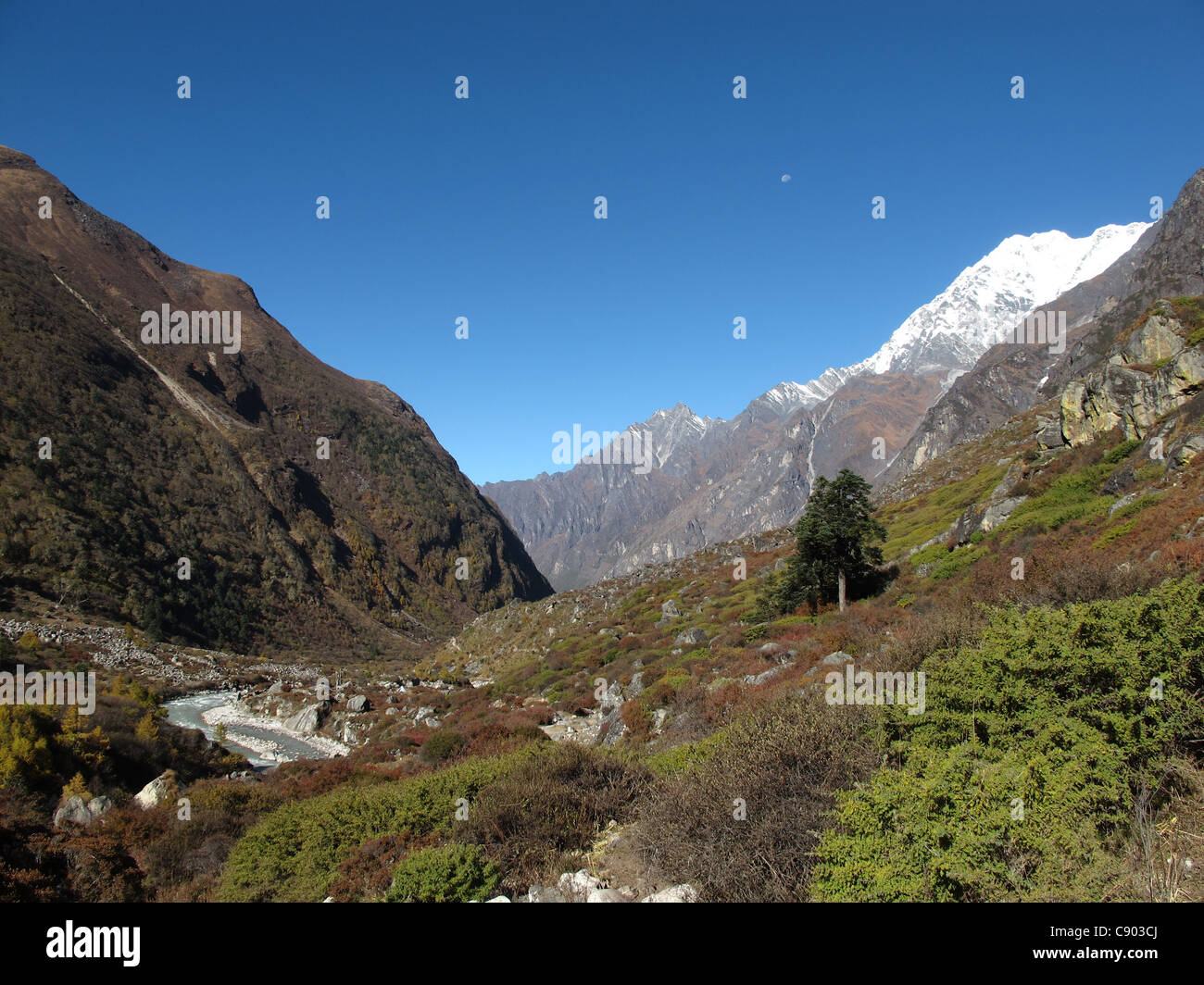 Vallée du Langtang Banque D'Images