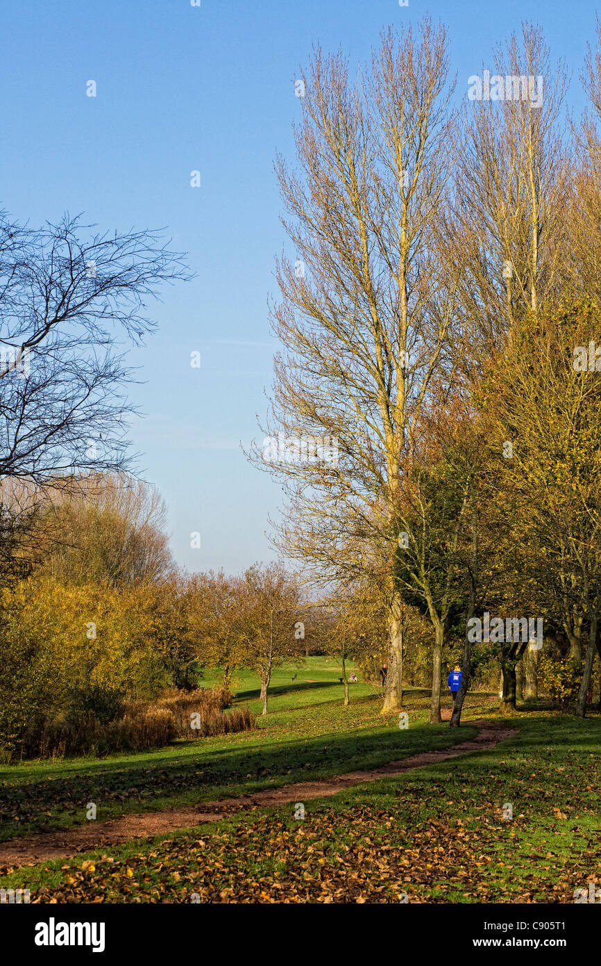Sentier qui traverse un parc anglais en automne. Banque D'Images