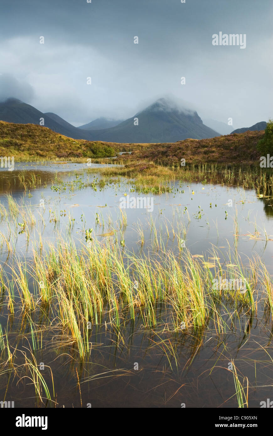 - Nan Eilean Loch Sligachan, Isle of Skye Banque D'Images