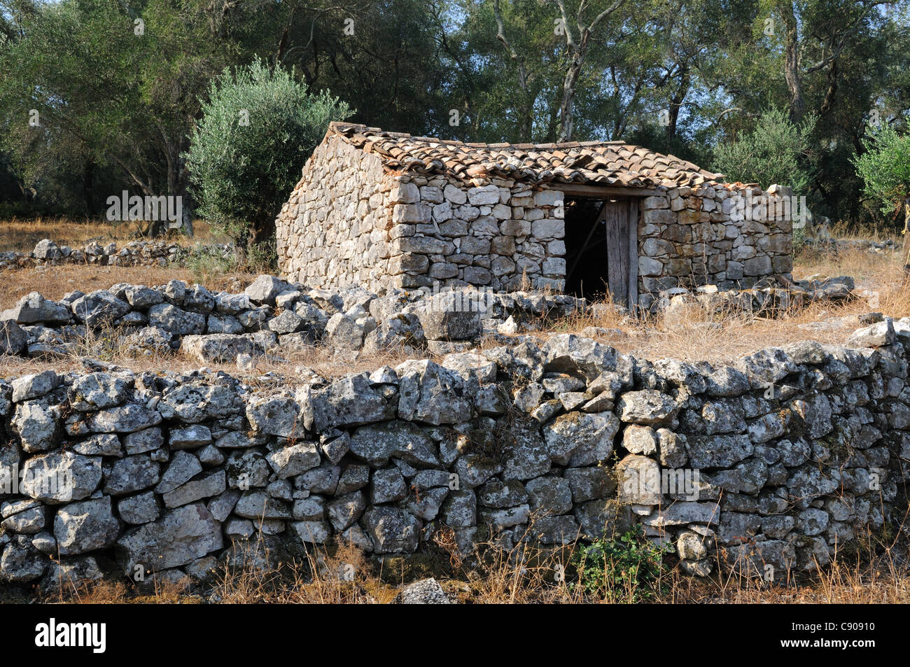 Ancien bâtiment en pierre et les murs dans une oliveraie Lipades Grèce corfu Village Banque D'Images