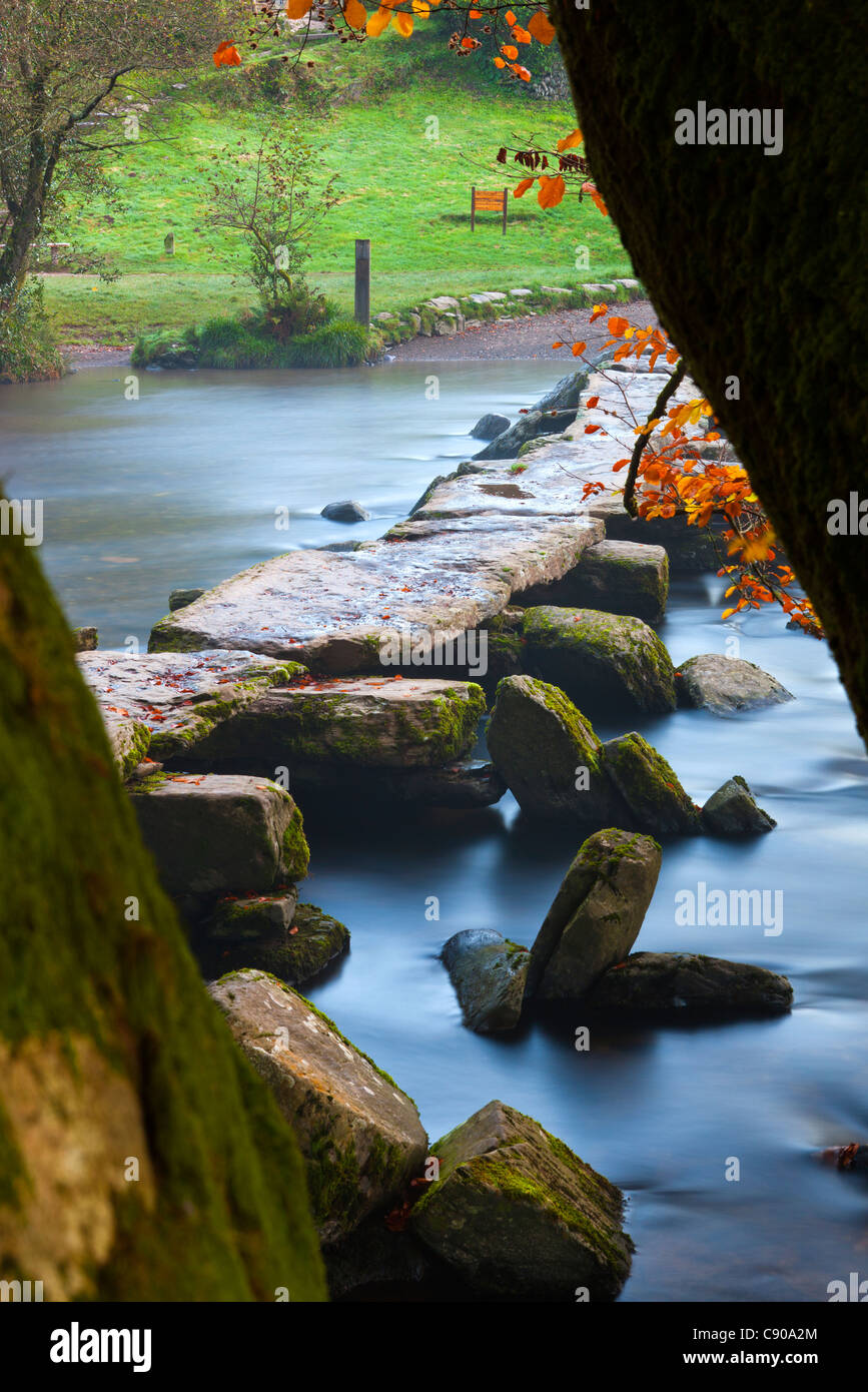 Les étapes sont un Tarr clapper préhistoriques de pont sur la rivière Barle dans le Parc National d'Exmoor, Somerset, Angleterre. Banque D'Images