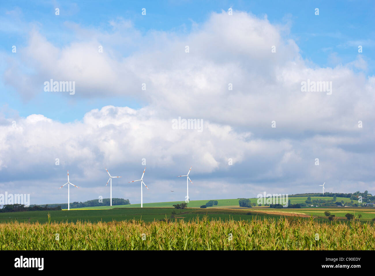 L'énergie éolienne près de Seinsfeld, Eifel, Rhénanie-Palatinat, Allemagne, Europe Banque D'Images