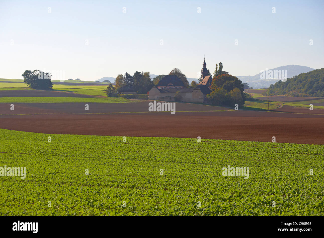 Chapelle des pèlerins près de Fraukirch Thuer, de l'agriculture, domaine, Pellenz, Eifel, Rhénanie-Palatinat, Allemagne, Europe Banque D'Images