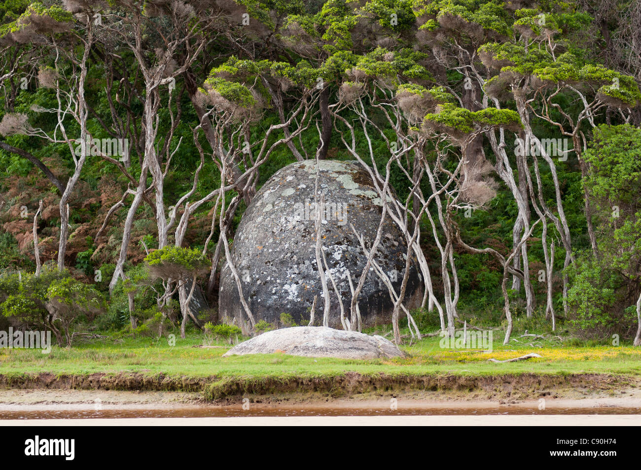 Les roches de granit à marée en rivière, Wilsons Promontory National Park, Victoria, Australie Banque D'Images