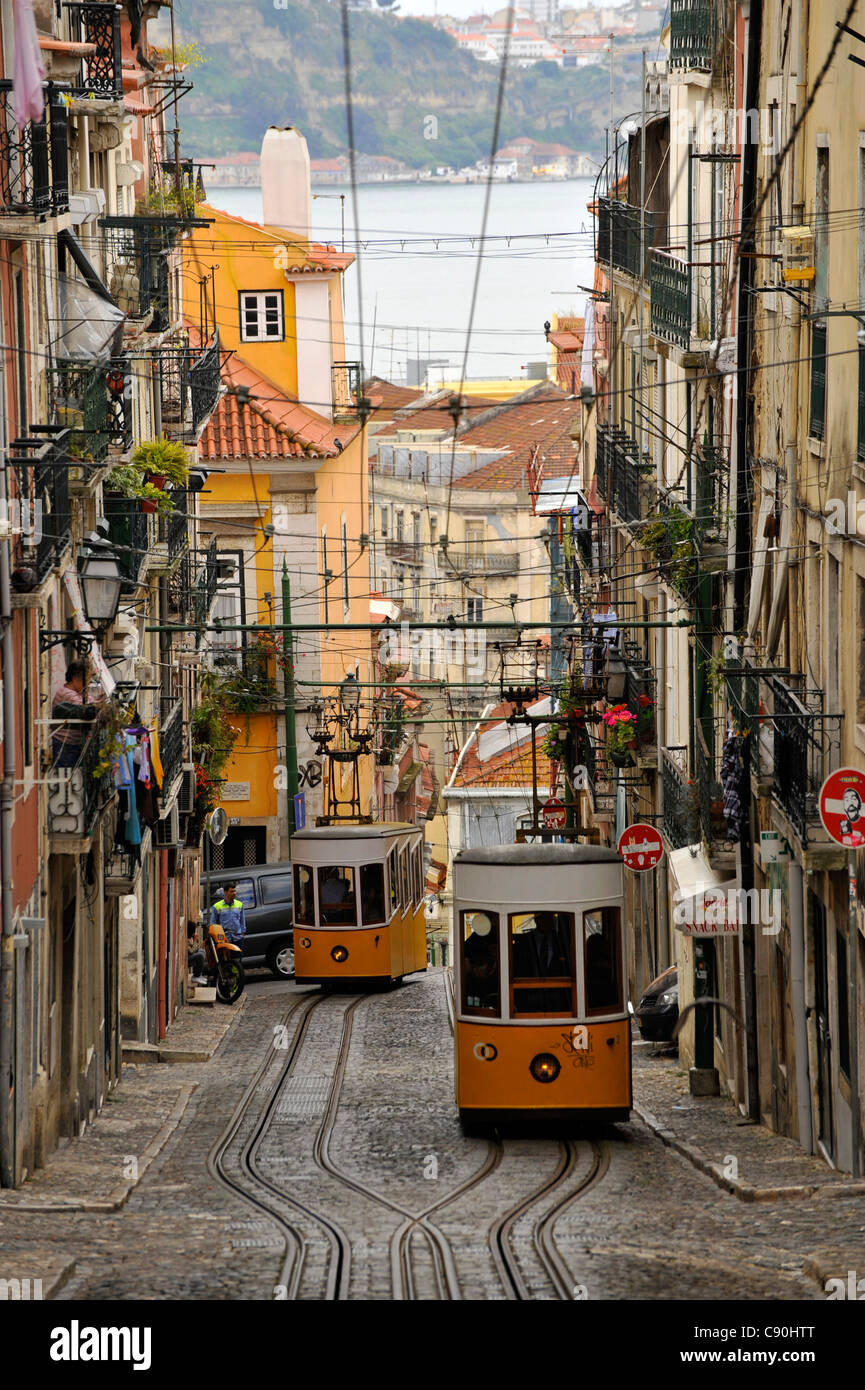 Elevador da Bica, tramways sur les rues en pente, Lisbonne, Portugal,  Europe Photo Stock - Alamy