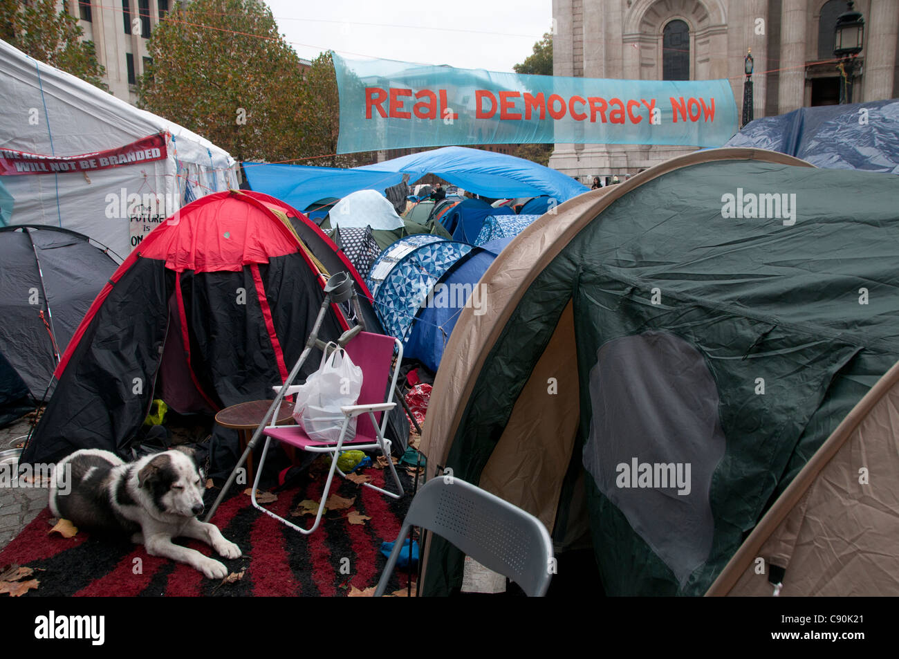 Occupy London. St Paul's. Protestation contre la ville et les banques. Repos chien devant une tente Banque D'Images