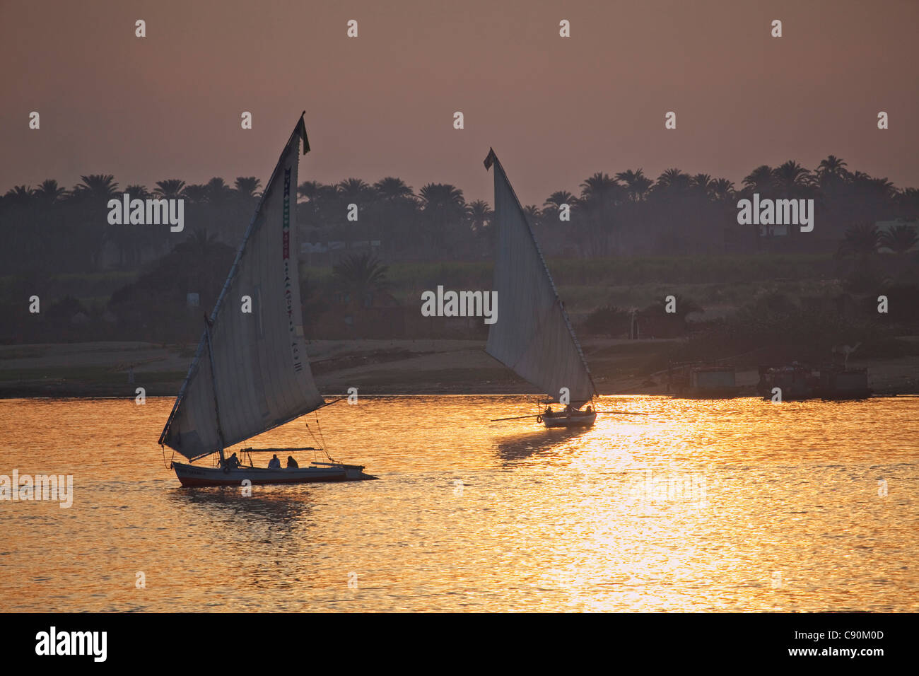 Felouques et le coucher du soleil sur le Nil, Louxor (anciennement Thèbes), l'Égypte, l'Afrique Banque D'Images