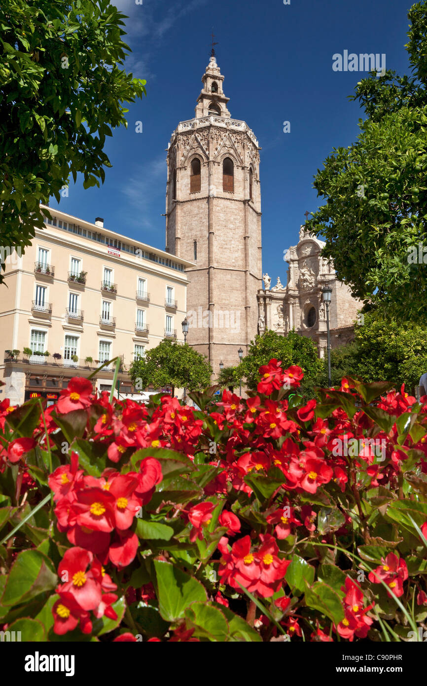 La cathédrale de Valence, Cathédrale de Santa Maria de Valence, et la Plaza de la Reina, Plaza de la Virgen, Valencia, Espagne Banque D'Images