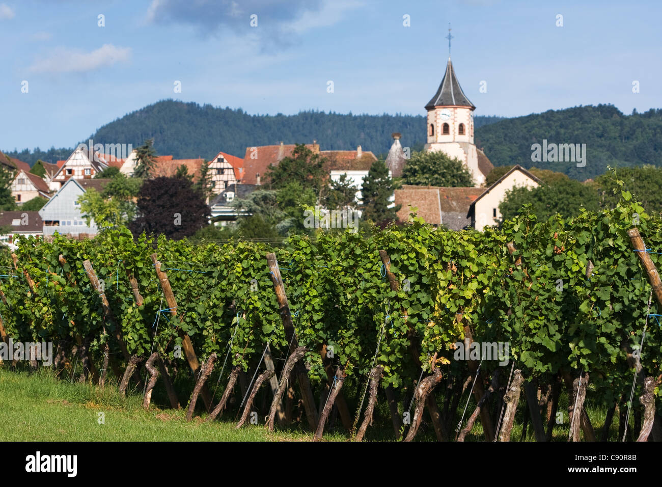 Vignes et villages le long de la Route des vins en France Banque D'Images