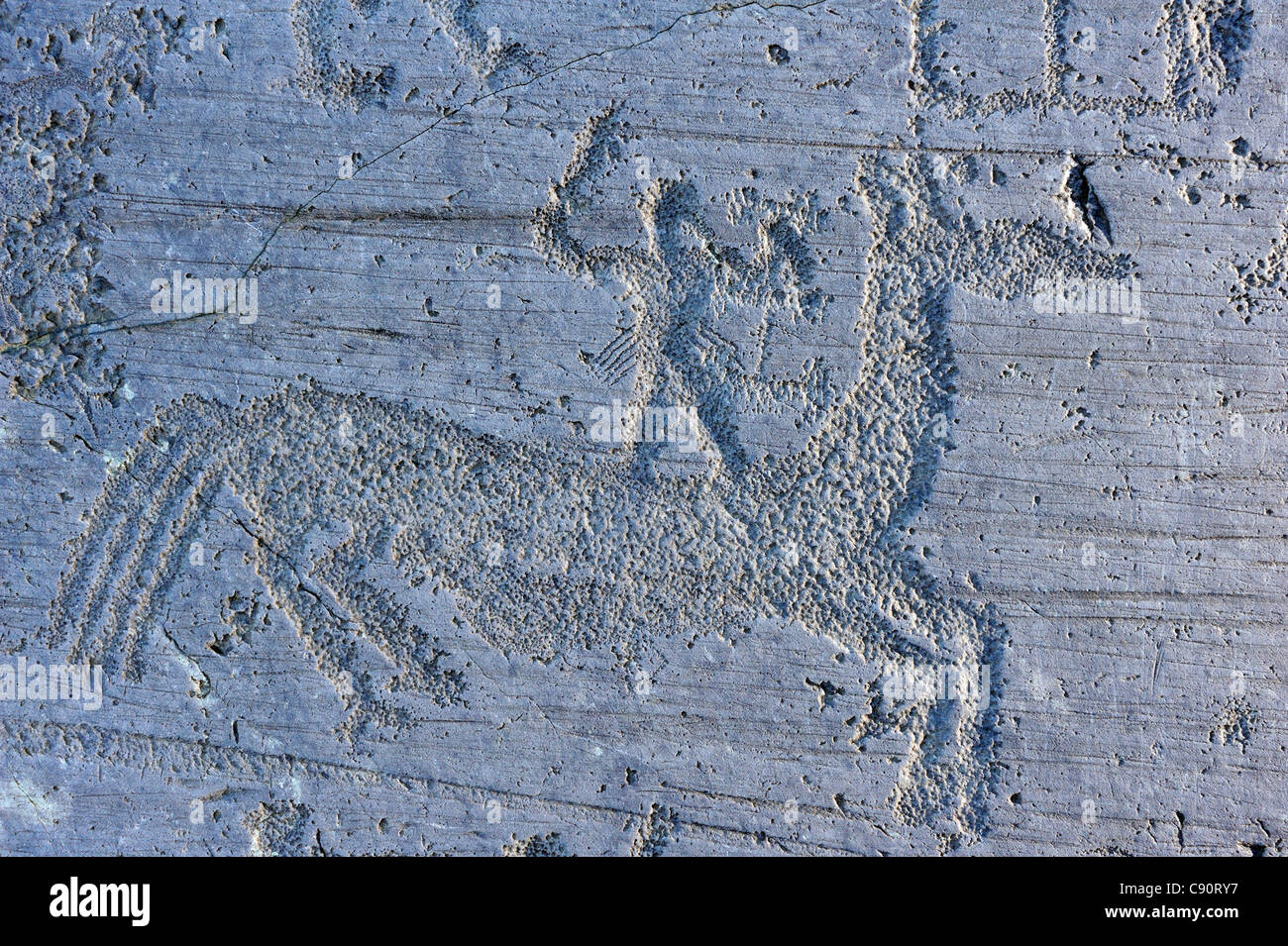 Homme debout sur le cheval, étrusque, dessin rock à l'âge de fer, Naquane, Val Camonica, Site du patrimoine mondial de l'UNESCO Val Camonica, Lombardie Banque D'Images