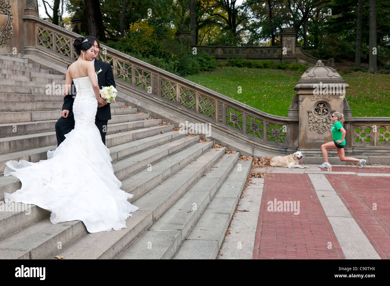 Couples nuptiales asiatiques sur un escalier posant pour une photo de jeunes femmes de faire ses exercices à côté de son chien Central Park New York Ci Banque D'Images