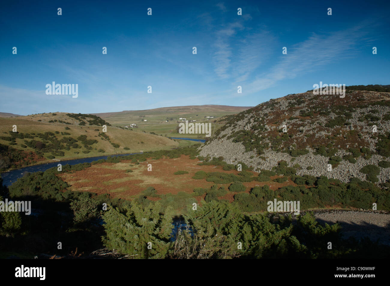 Il y a une bonne vue de la partie supérieure du paysage Teesdale Bracken Rigg vers Forest-In-Teesdale. C'est une région de grande Banque D'Images