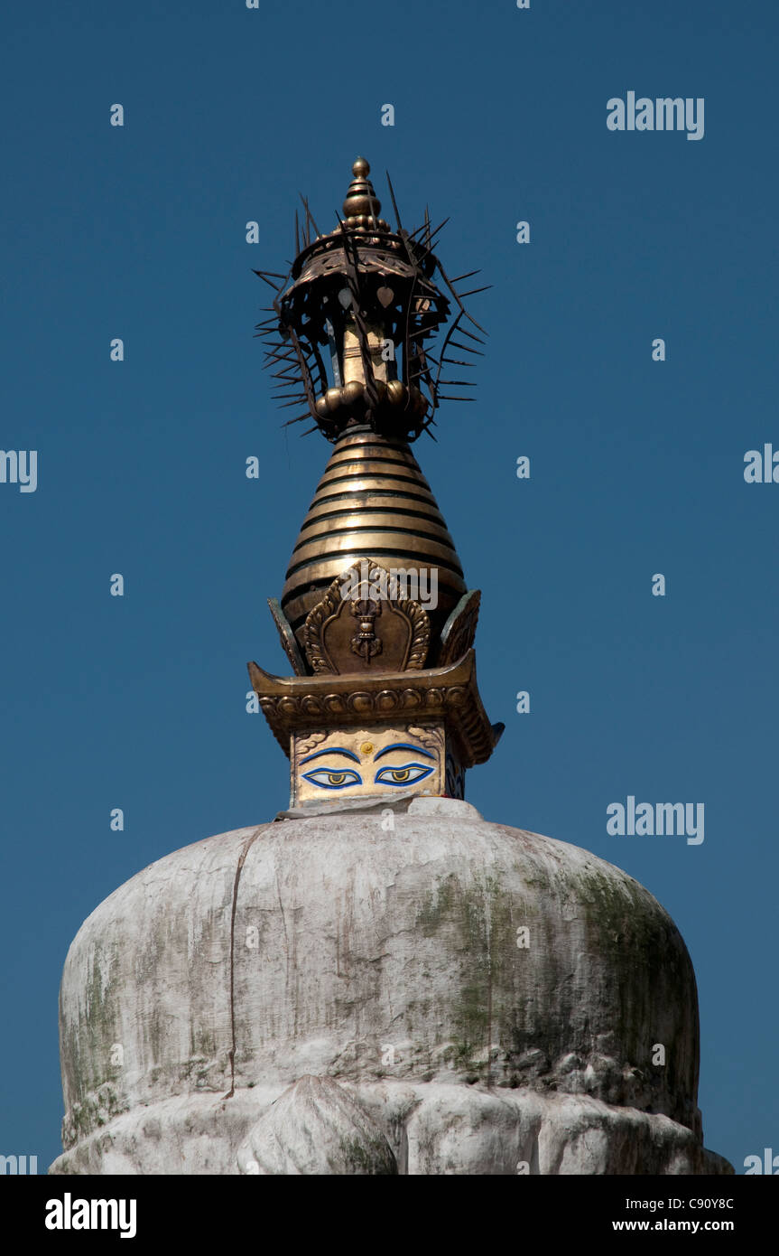 Swayambhunath est également connu comme le Temple de singe et est un grand monument national et un lieu de pèlerinage. L'historique Banque D'Images