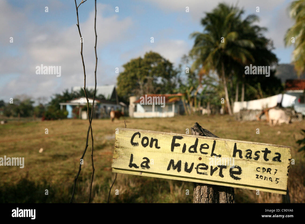 Avec Fidel Castro jusqu'à la mort ! Slogan installé à côté de la route de la ville de Viñales, Cuba. Banque D'Images