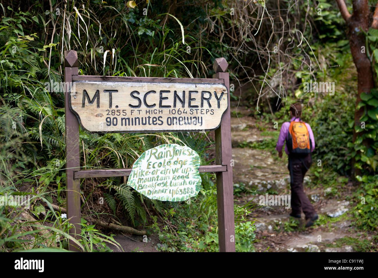 Windwardside, île de Saba, Antilles néerlandaises. Parc national de Mount décor. Point le plus élevé ( 887 mètres ) dans le pays. Femme randonnée. Banque D'Images