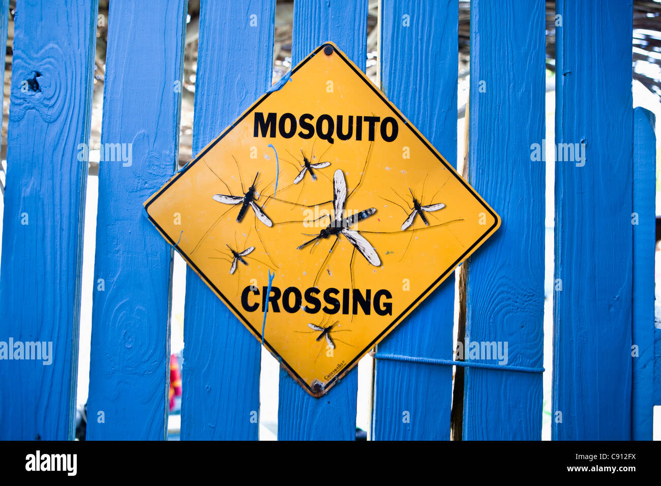 Les Pays-Bas, l'île de Bonaire, Antilles néerlandaises, Kralendijk, Surfbeach. Pancarte. La planche à voile au lac Bay. Banque D'Images