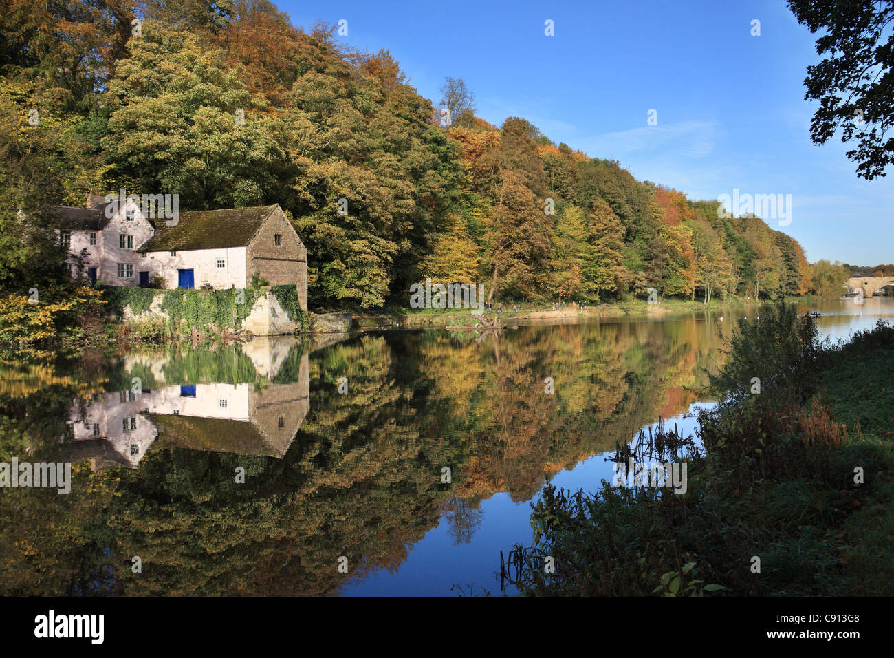 Ancien moulin et arbres d'automne à partir de la rive ouest de la rivière l'usure dans la ville de Durham, Angleterre du Nord-Est, Royaume-Uni Banque D'Images