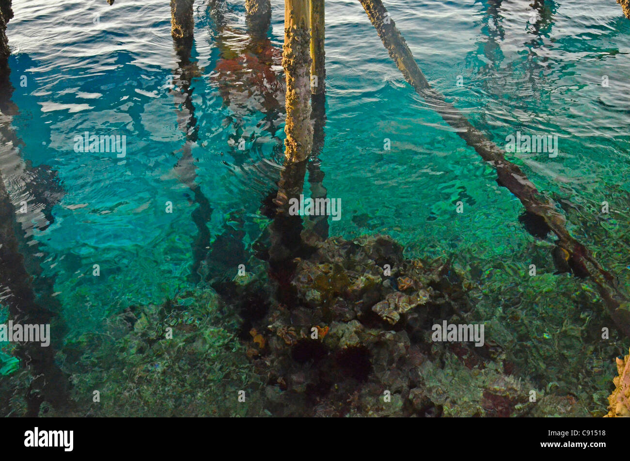 Sous l'eau bleue jetée à Kri Eco Resort, Raja Ampat îles de Papouasie occidentale dans l'océan Pacifique, l'Indonésie. Banque D'Images