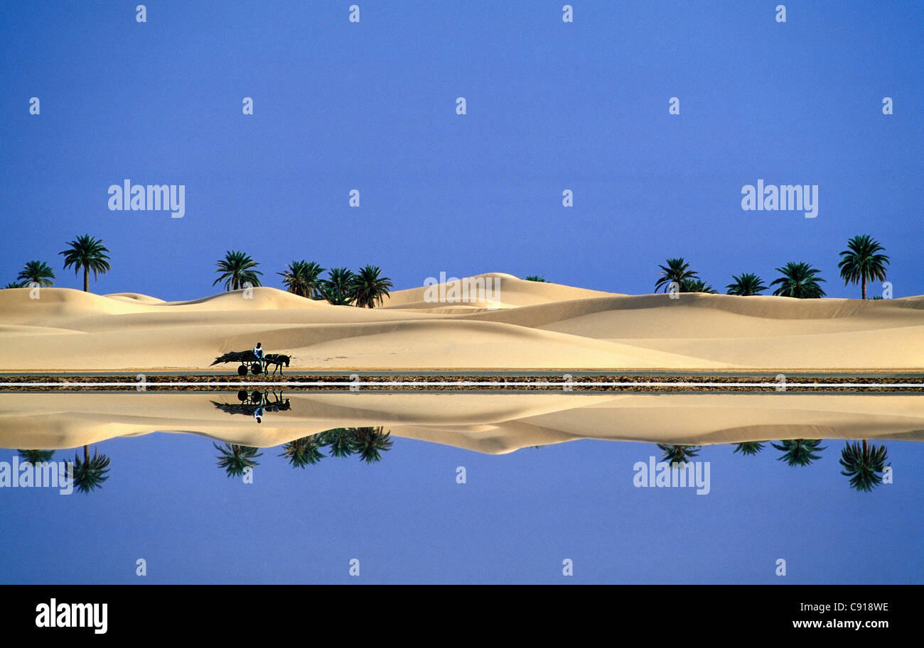 Village d'Algérie, Ouargla, Sandsea de l'est. Désert du Sahara. Chariot à âne, petit garçon et palmier près du lac salé dunes de sable. Banque D'Images