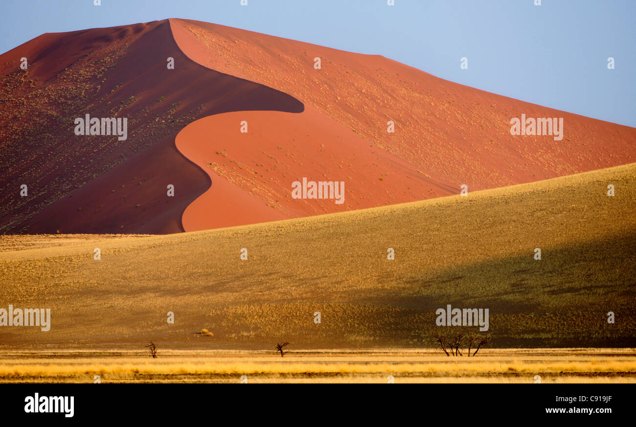 Dans les dunes de sable rouge de Sossusvlei, Sossusvlei, Parc National Namib Naukluft, désert du Namib, le Namib, Namibie, Afrique Banque D'Images