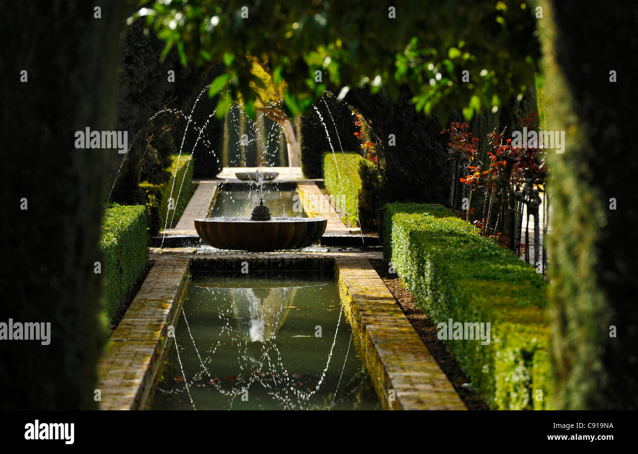 Fontaine de jardin, Grenade, Alhambra, Andalousie, Espagne, pays méditerranéens Banque D'Images