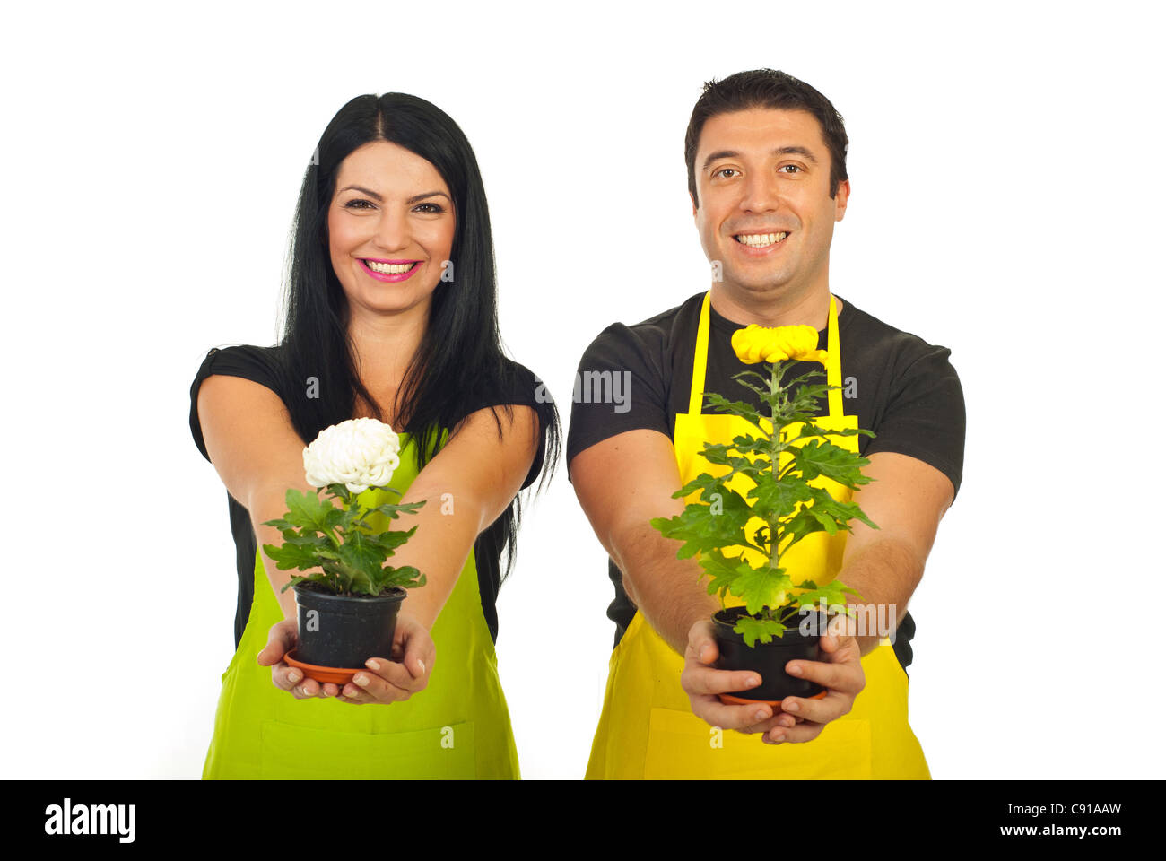 Heureux couple de fleuristes en donnant des pots de chrysanthèmes isolé sur fond blanc Banque D'Images