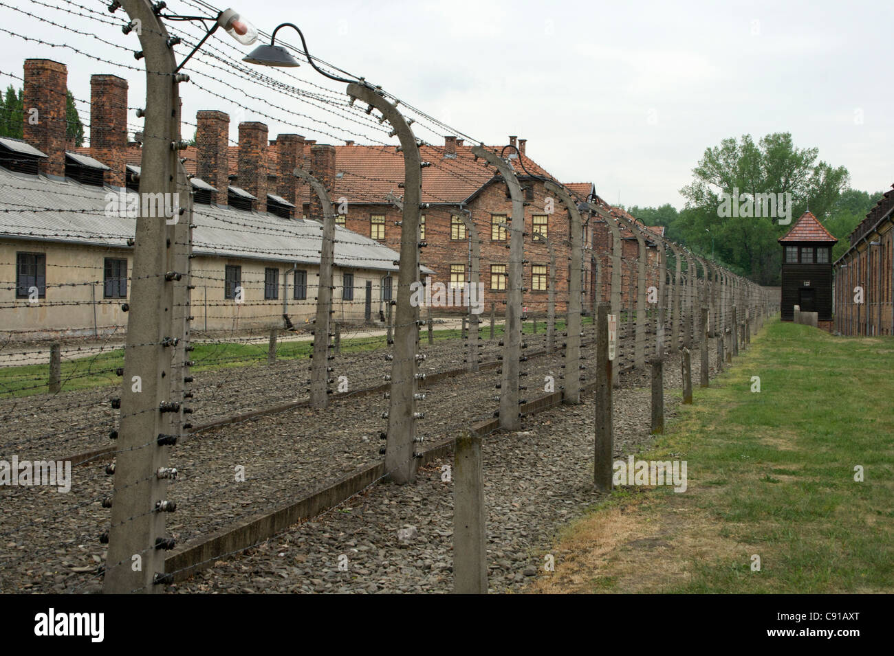Barbelés avec des poteaux en béton et les phares de recherche contenant des blocs de brique construit dans l'enceinte d'Auschwitz 1 Banque D'Images