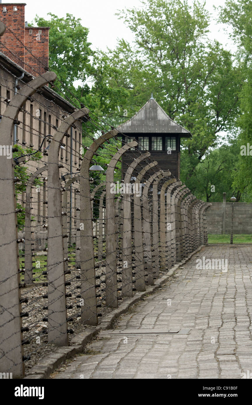 Barbelés avec des poteaux en béton et les phares de recherche contenant des blocs de brique construit dans l'enceinte d'Auschwitz 1 Banque D'Images