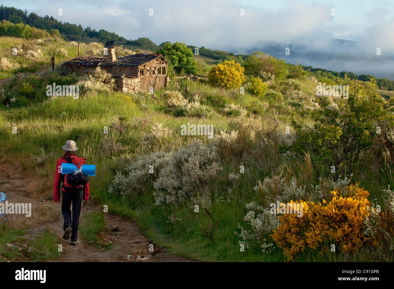 Pilgrim dans le paysage idyllique, province de Leon, La Vieille Castille, León, Castilla y Leon, dans le Nord de l'Espagne, l'Espagne, Europe Banque D'Images