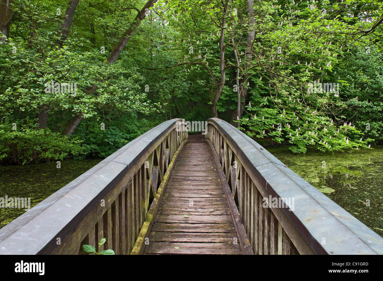 Pont de bois dans le parc paysager au Château Agathenburg, Stade, Basse-Saxe, Allemagne Banque D'Images