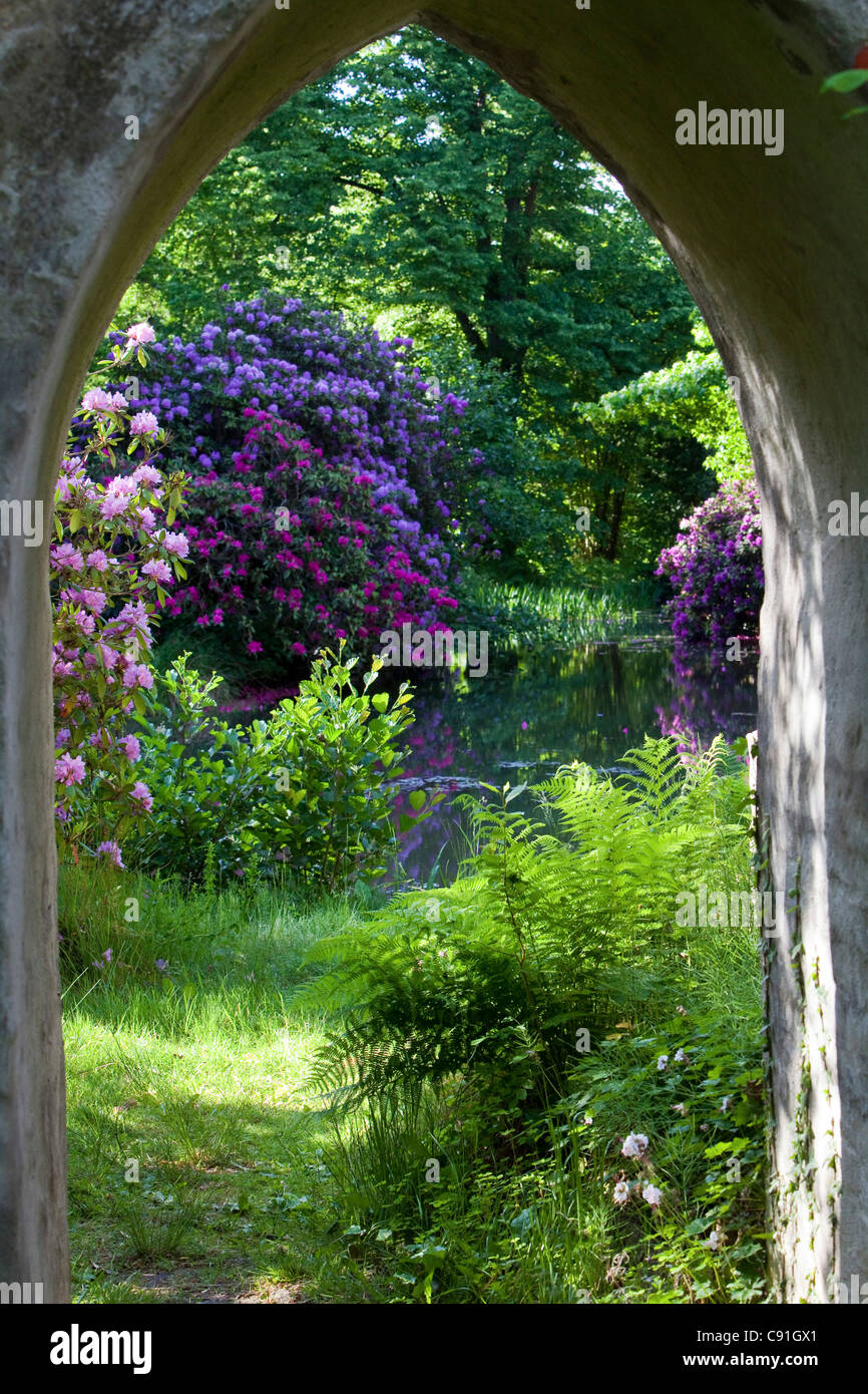 La floraison des rhododendrons en fleurs, vu à travers l'arche, tour en ruine, Breidings jardin, Soltau, Basse-Saxe, Allemagne Banque D'Images