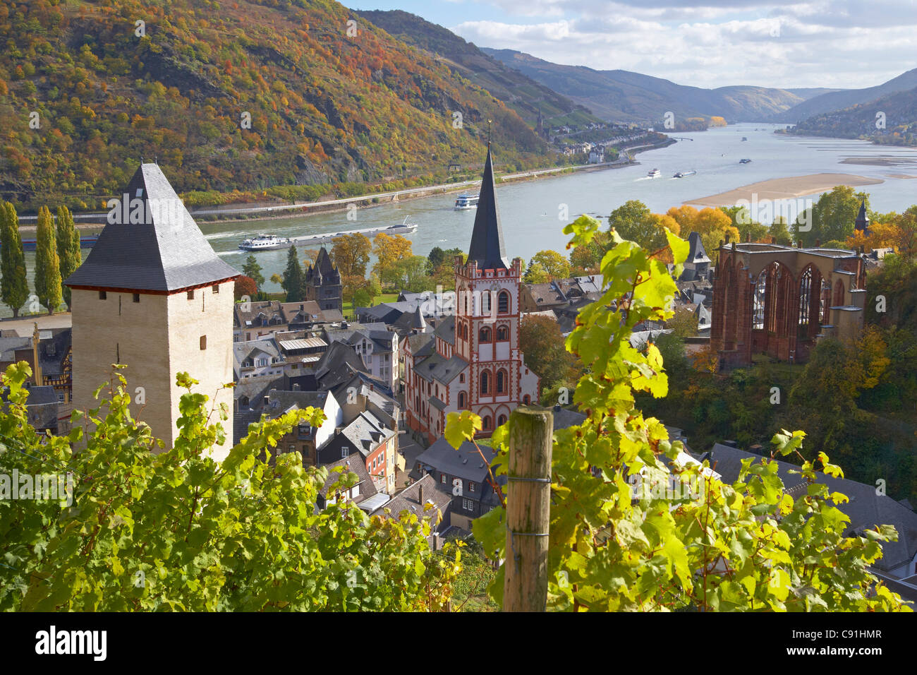 Voir à Bacharach avec vignoble et Werner chapelle Rhin Patrimoine culturel du monde : Oberes Mittelrheintal (depuis 2002) Banque D'Images