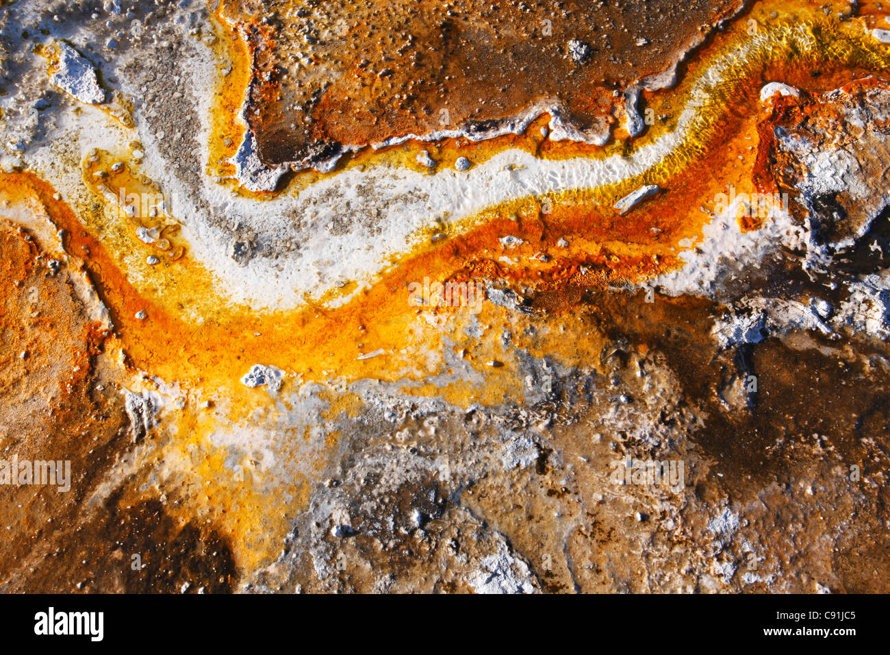 Couleurs de bactéries thermophiles, Yellowstone National Park Banque D'Images