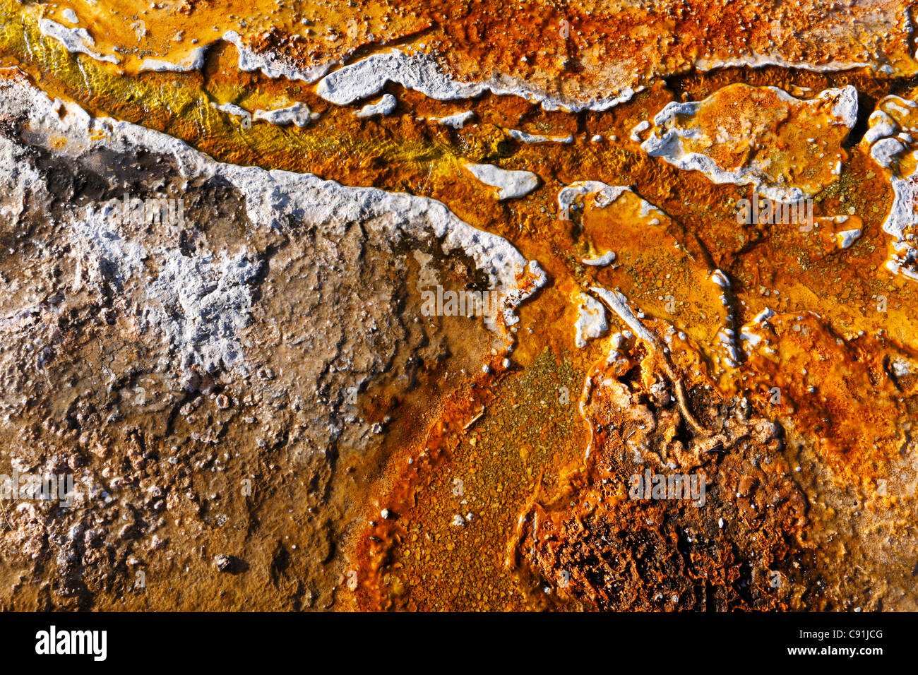 Couleurs de bactéries thermophiles, Yellowstone National Park Banque D'Images