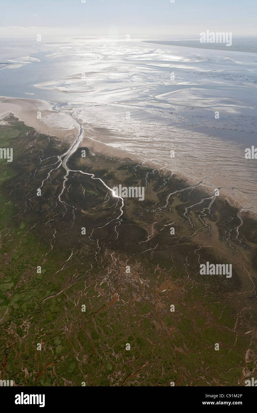 Vue aérienne de goulets de marée dans les vasières, mer des Wadden, Basse-Saxe, Allemagne Banque D'Images