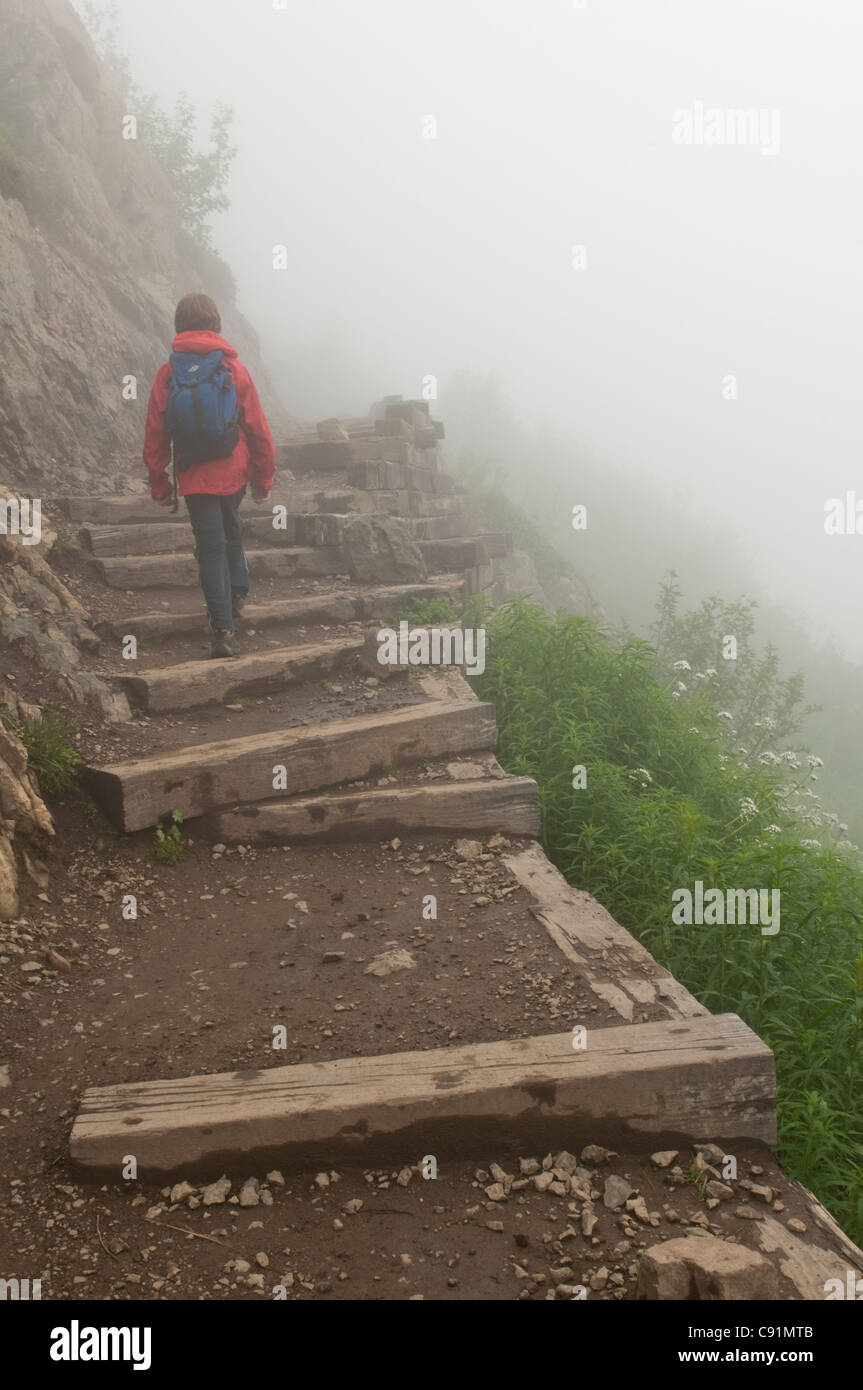 Garçon des randonnées dans le brouillard sur une piste vers la montagne, Folk, Chugach State Park, Southcentral Alaska Summer Banque D'Images