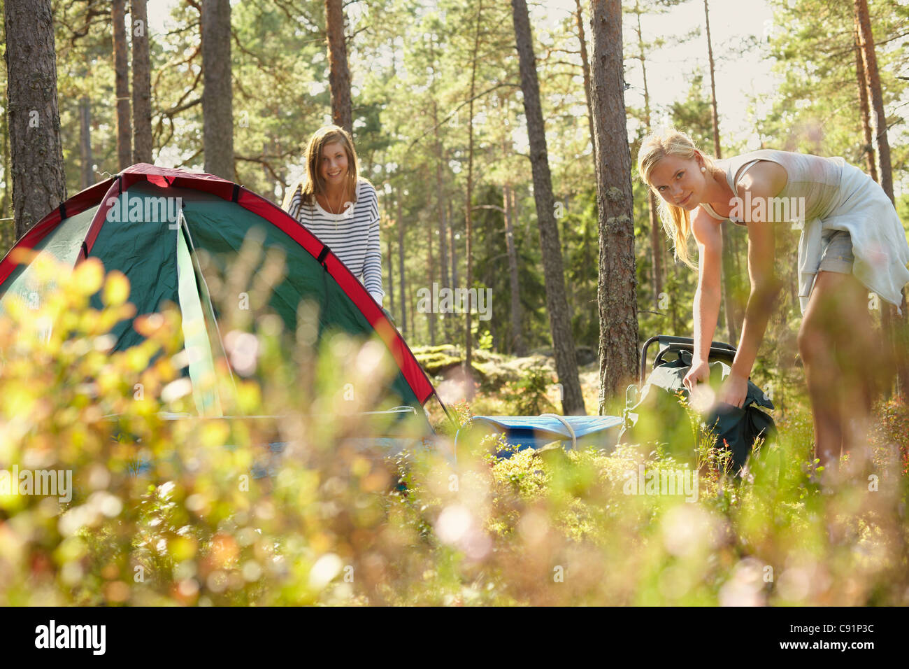 Les femmes la mise en place de camping en forêt Banque D'Images