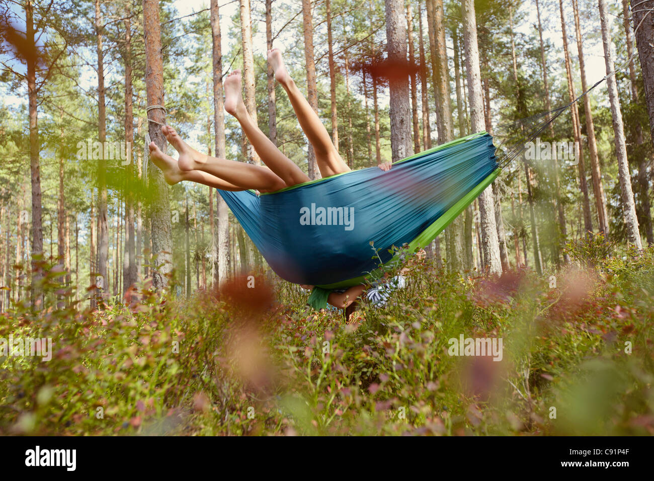 Women relaxing in hammock in forest Banque D'Images