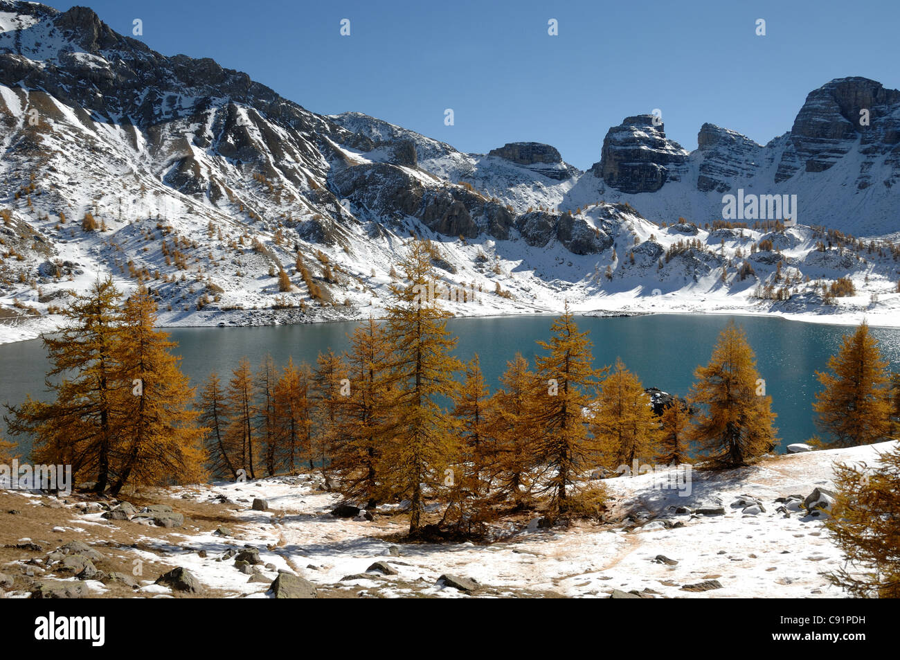 Vue d'hiver du lac Allos ou du lac d'Allos dans le Parc National du Mercantour avec des larches d'automne européennes, Larix decidua, Alpes du Sud, France Banque D'Images