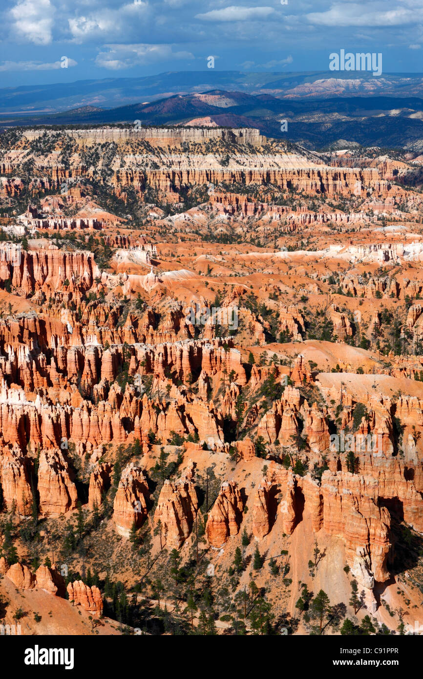 Les cheminées et les formations rocheuses, le Parc National de Bryce Canyon Banque D'Images