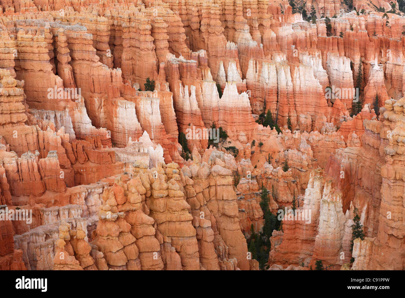 Les cheminées et les formations rocheuses, le Parc National de Bryce Canyon Banque D'Images