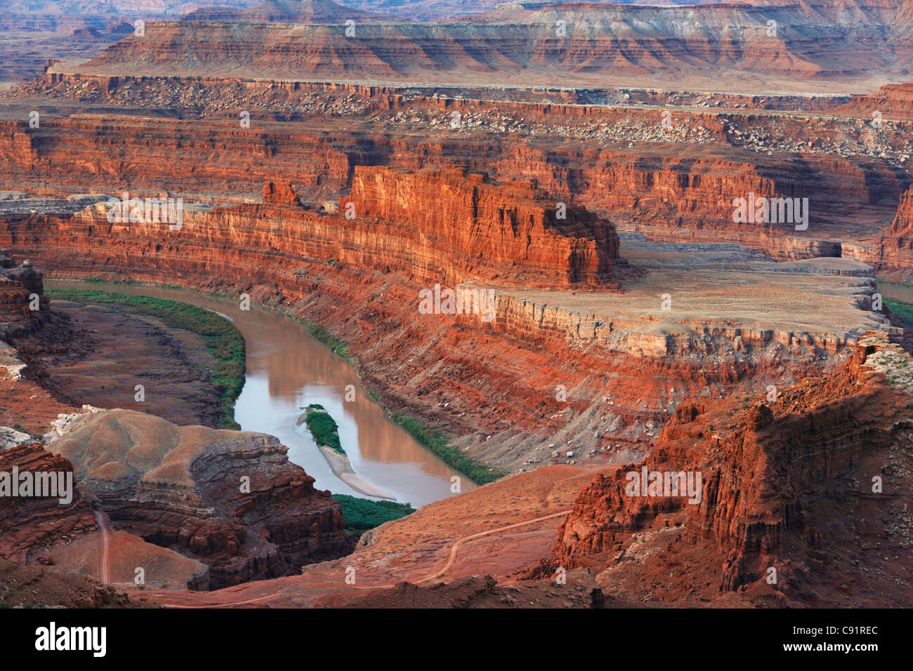 Colorado River sur son chemin dans Moab, Dead Horse Point State Park Banque D'Images