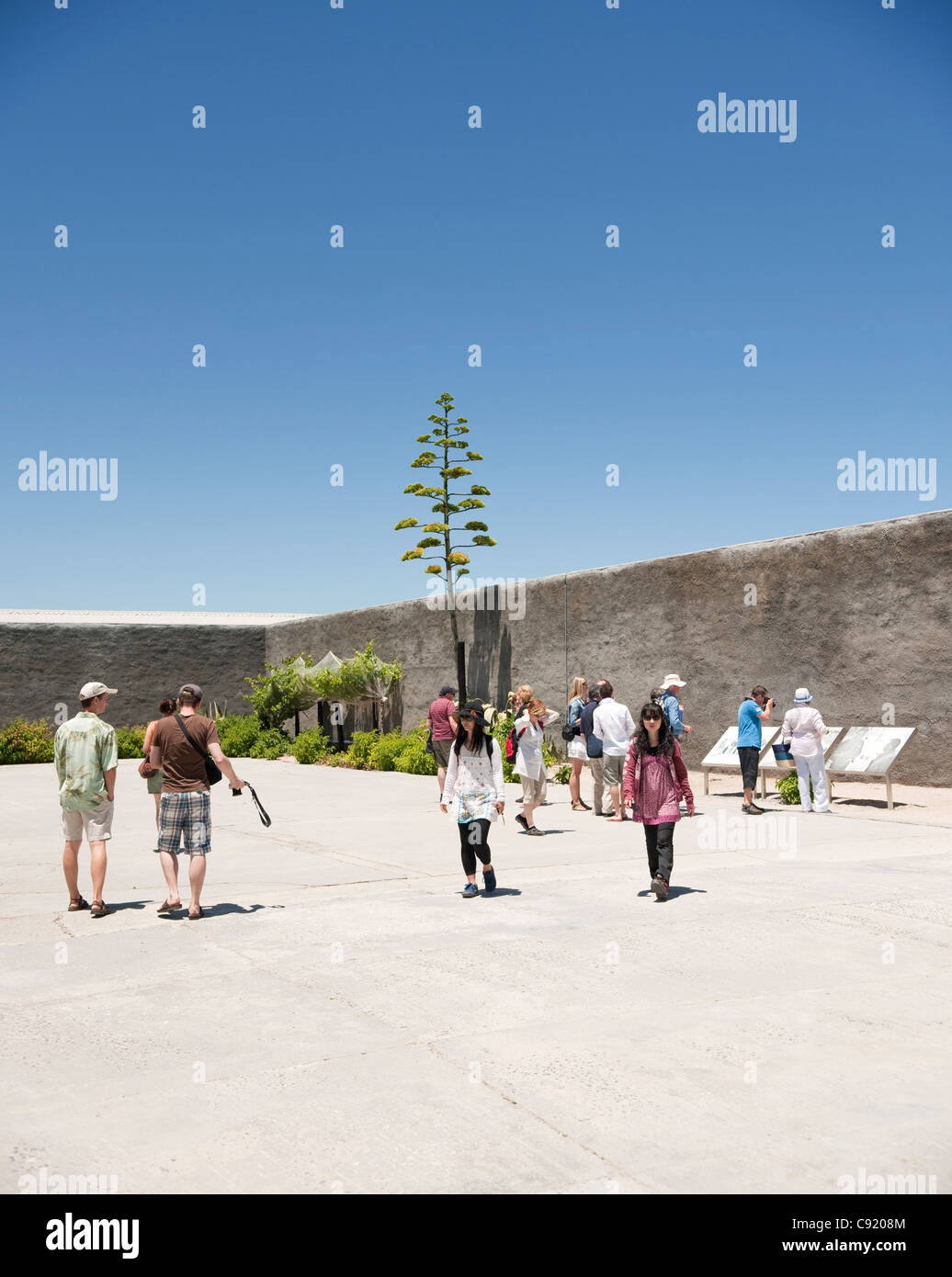 L'île de Robben Island au large de la côte de Cape Town Afrique du Sud était autrefois une prison où les prisonniers politiques et généraux ont été Banque D'Images