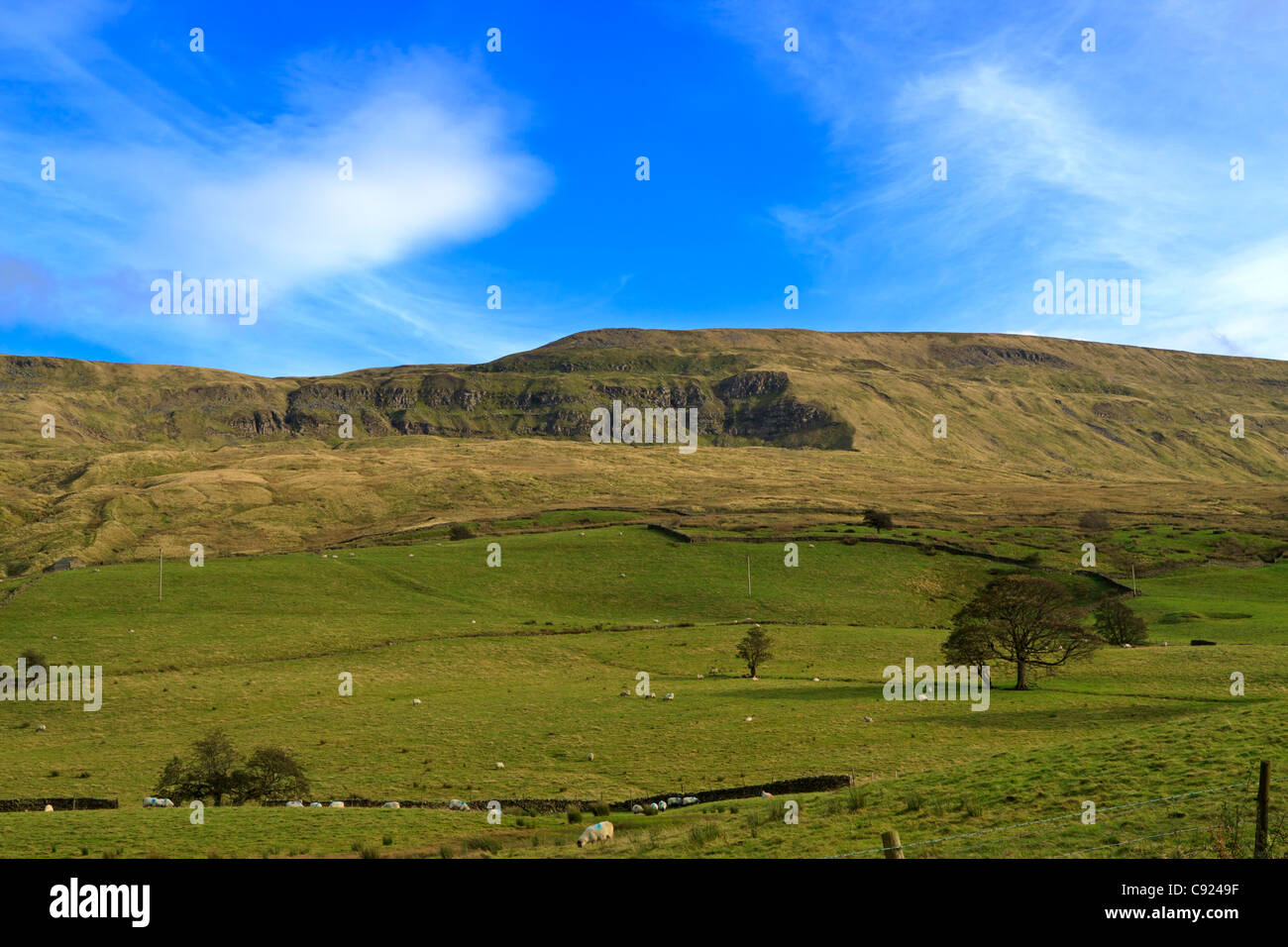 Mallerstang Dale, Cumbria, Royaume-Uni. Mallerstang est un Dale à la tête de l'Eden Valley. Banque D'Images